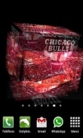 3D Chicago Bulls Wallpaper 1.00截图3