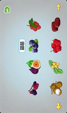 宝宝学水果蔬菜截图