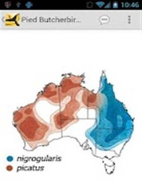 澳大利亚鸟类指南截图