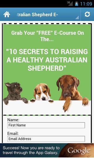 Australian Shepherd截图1