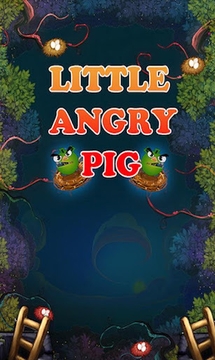 Little Angry Pig截图