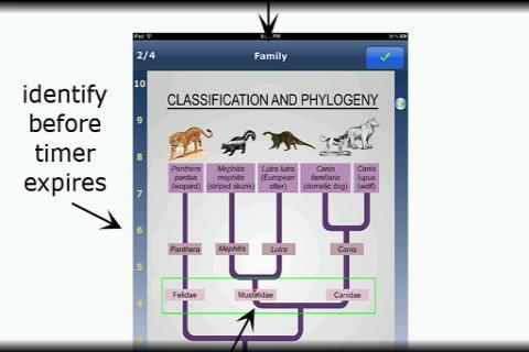 Name that Dinosaur for free!截图2