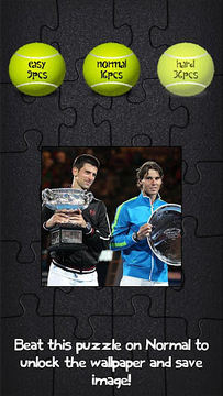 Novak Puzzles截图