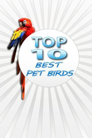 Top10 BEST Pet Birds截图1