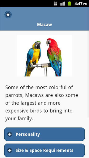 Top10 BEST Pet Birds截图4