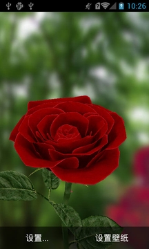 3D玫瑰动态壁纸截图