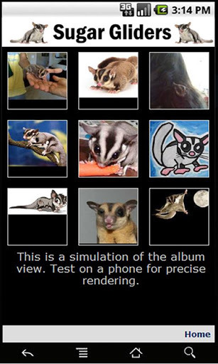 Sugar Gliders截图3