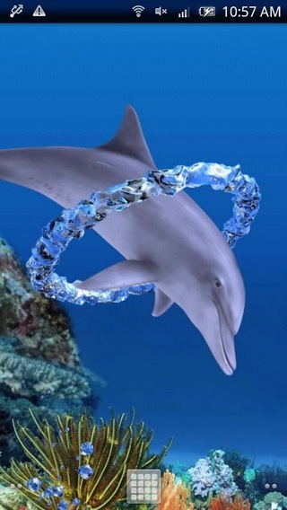 Dolphin Ring Trial截图3