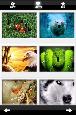 Backgrounds HD Wallpapers截图2