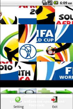World Cup2010截图