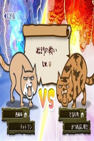 猫咪对战截图4