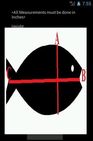 鱼体重计算器截图2