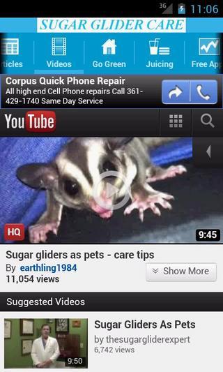 Sugar Glider Care截图2