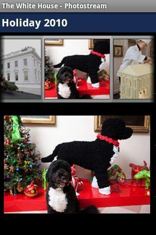 The WhiteHouse&#39;s Photostream截图3