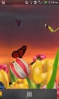 3D Butterfly Live Wallpaper 截图2