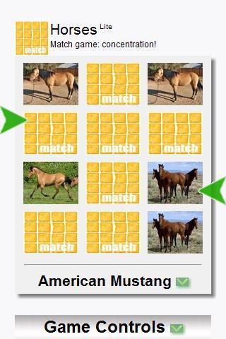 Match: Horses截图2