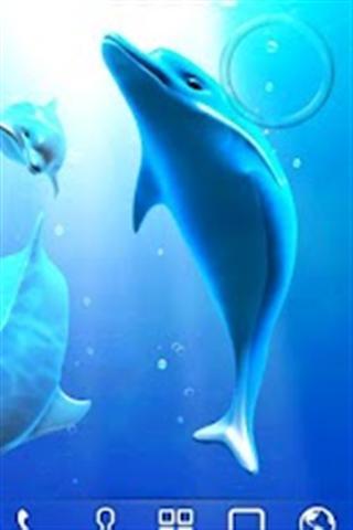 海豚壁纸 Dolphin LiveWallpaper Trial截图1