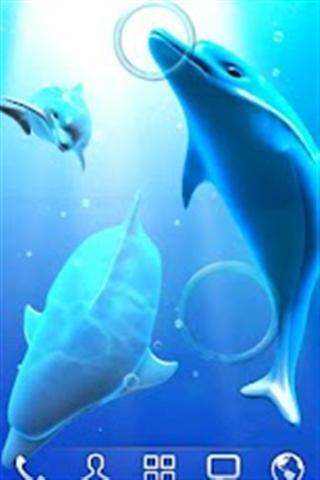 海豚壁纸 Dolphin LiveWallpaper Trial截图2