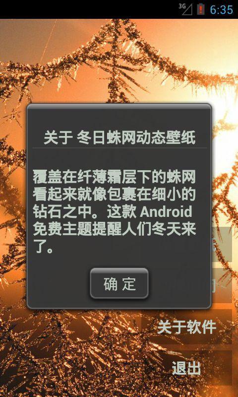 冬日蛛网动态壁纸截图4