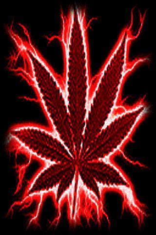 Weed Colors Live Wallpaper截图1