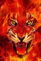 Fire Tiger Live Wallpaper 截图1