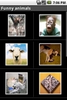 Funny animals photos 截图2
