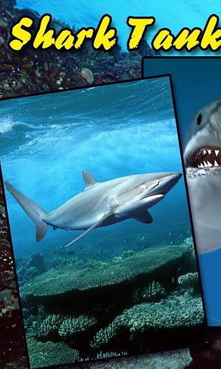 Shark Tank In Your Phone LWP截图1