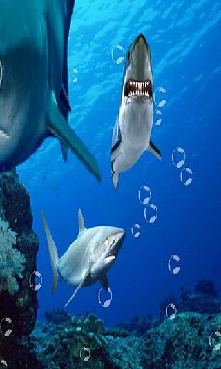 Shark Tank In Your Phone LWP截图7