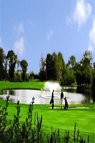 Golf Star: puzzle game截图2