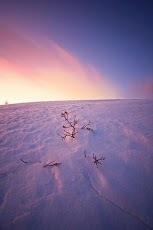 美麗的冬天雪圖片截图2