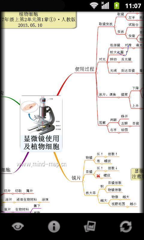 心智图图解初中生物人教版7年级上截图4