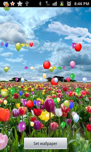 Balloon-Tulip Field LWP截图2