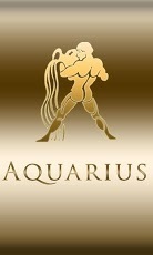 Aquarius Zodiac Gold WP截图1