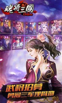 魂將三國(guó)截圖