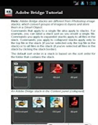 Adobe Bridge Tutorial截图4