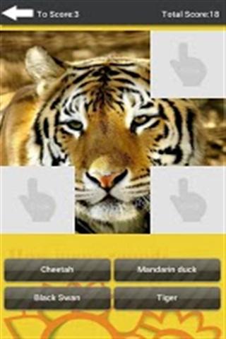 Guess Animals截图3