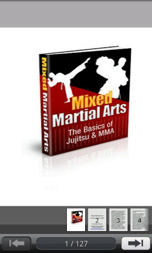 Mixed Martial Arts截图2