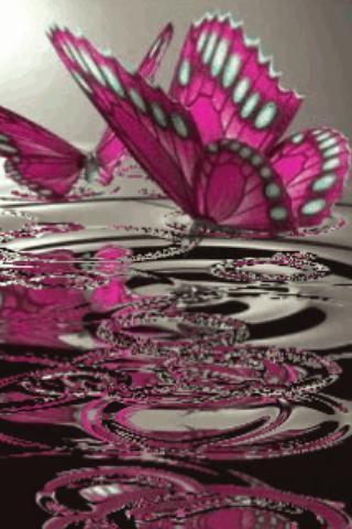 Pink Butterflies On Water Live截图2