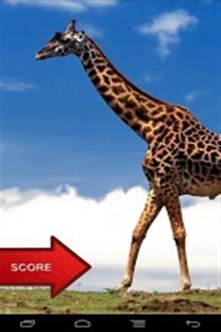 Animal Jigsaw Puzzle Game截图4