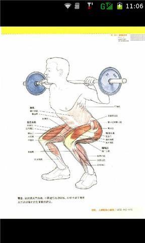 型男健身肌肉训练图谱截图3