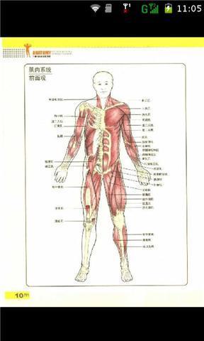 型男健身肌肉训练图谱截图5