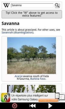 稀树草原 - Zoo : Savanna Animals截图