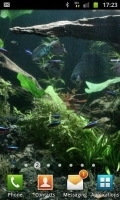 Fresh Water Aquarium 1.0.2截图1