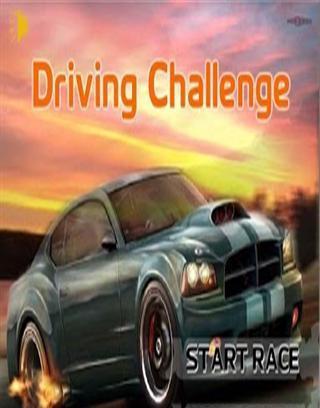 Driving Challenge截图2