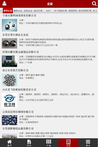 中国钢球网截图1