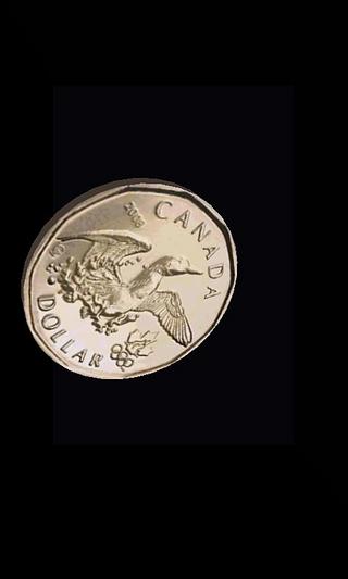 Coin Flip截图8
