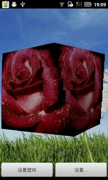 3D玫瑰花壁纸截图