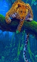 Wild Cat Live Wallpaper 2截图1