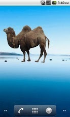 Camel Sticker截图2