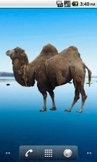 Camel Sticker截图3